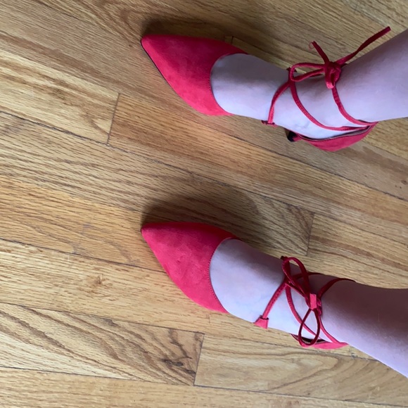 Kitten Heals - Picture 5 of 5